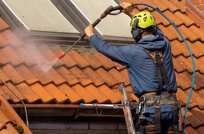 Démoussage et hydrofuge de toiture à Larreule